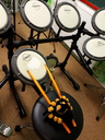 Spider on Drums 01